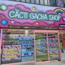 캑티 가챠샵 구월점 이미지