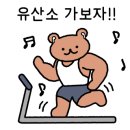 팀앤트 파워리프팅 이미지