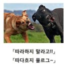 성심동물병원 이미지