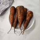 [내돈내산] 제주 구좌 당근 5kg 남여사네 농산물 구매 후기 추천