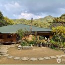 들꽃이야기 이미지