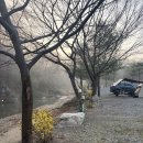 설악면 | [캠핑이야기] 가평 탐선골캠핑장 첫 방문 후기