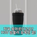 박영님 | 해밀로 H30 텀블러, 당신의 일상에 수분 충전 라이프!