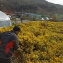 오장열농장 이미지