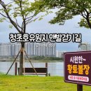 cu속초엑스포공원점 | 속초 여행코스 추천 엑스포 청초호 맨발걷기 황톳길 힐링 후기