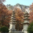 용성약국 이미지