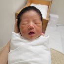 대전 라온산부인과 제왕절개 수술 후기: 4일차_직수 도전, 첫 유축, 신생아 황달, 산후보약(@라온한의원)