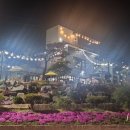 마루아라 하우스 이미지