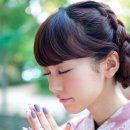 키리타니 미레이 카카오 검색결과