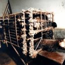 웅담농장 이미지