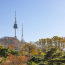 용산-445 이미지