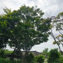 고목목장 이미지