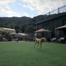 더히로 플레이그라운드 이미지