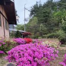 청산한옥계곡펜션 이미지