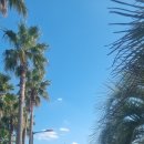 서귀포교회 이미지