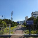 블루파크 | 부산 송정 블루라인파크 열차 후기 주차장·열차표 꿀팁까지 솔직 리뷰