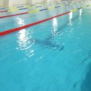 스포츠그린힐 수영장 이미지