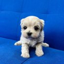 서원동-30 이미지