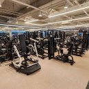 플라이 짐 이미지