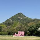 신경길L 네이버블로그