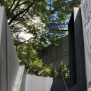 콜렉티보 안암설성점 이미지