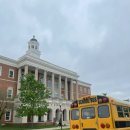 국제오리 이미지