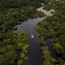 우림농장1 이미지