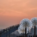 금강행정사사무소 이미지