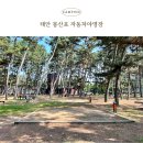 충남자동차부분정비업 | 태안 몽산포자동차야영장 2박 3일 캠핑 후기