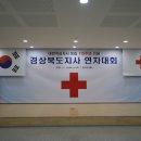 대한적십자사 창립 115주년 기념 2020 경북지사 연차대회 이미지