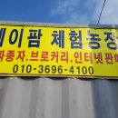배감농장 Daum카페