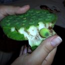 열매한의원 이미지