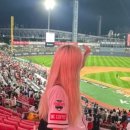 수원-0829 이미지