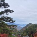 스테이 230 이미지