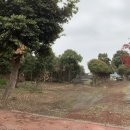 병석농장 이미지