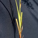 하늘지기 이미지