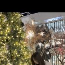 빙상장 횡단보도 이미지