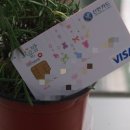 고운마음약국 이미지