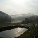 막시골 농원