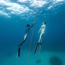 퍼시픽엔지니어링㈜ 이미지