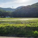 반월천1 이미지