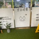 만점애견미용 이미지