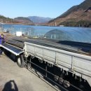 농업회사법인(주)성주 이미지