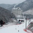 엘리시안 강촌 스키장 이미지