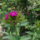 호텔오월로 이미지