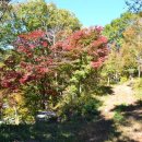 진상초등학교 이미지