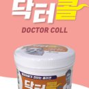 고양이분양은 노블캣 랙돌놀숲분양캐터리 대전점 이미지