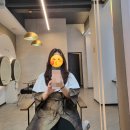 4002 | 대전 둔산동미용실 로이드밤에서 로델리아 토모미 클리닉 후기