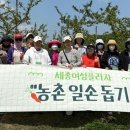 세종플라자 이미지