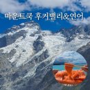 연어의추억 | 마운트쿡 후커밸리 트레킹 신발 팁, 푸카키 호수 연어 후기